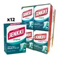 Jenkki Ksylitolipastilli Cool Mint x 12 - Karkkirasiat - 100358 - 2