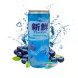 Fresh Blueberry Ice Drink 330 ml - Limsat ja virvoitusjuomat - 9779R - 1
